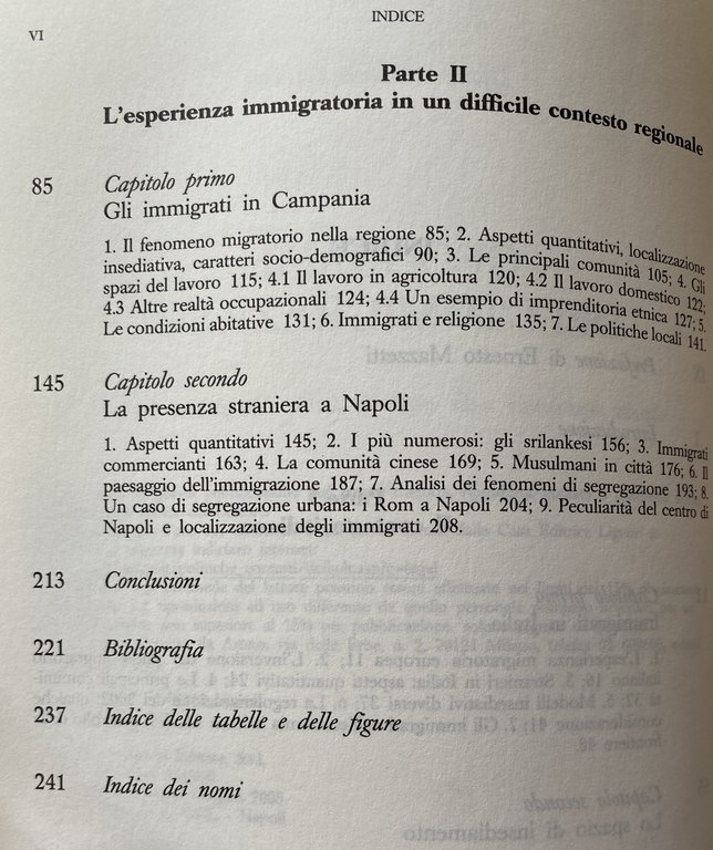 GEOGRAFIE DELL'IMMIGRAZIONE. SPAZI MULTIETNICI NELLE CITTÀ: IN ITALIA, CAMPANIA, NAPOLI