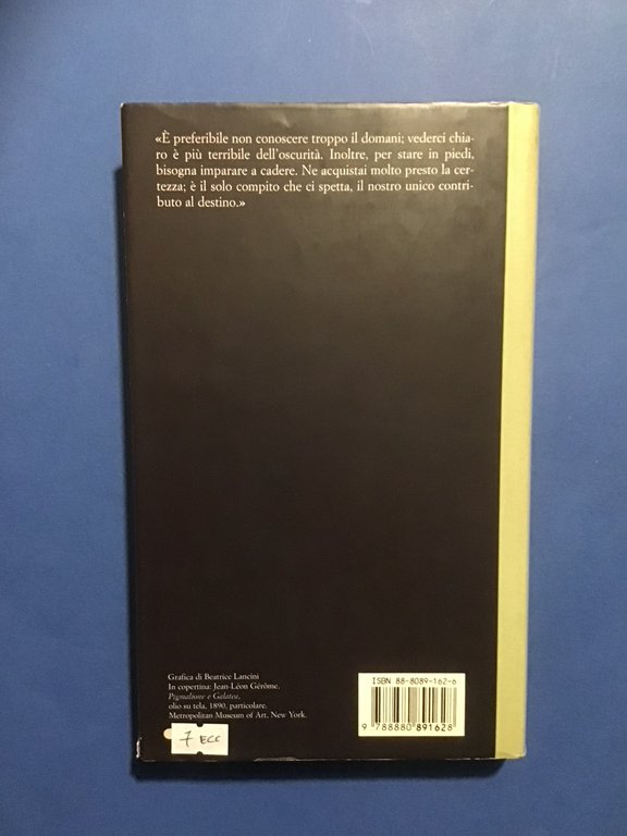 IL PASSO LENTO DELL'AMORE | Immagine Gallery 2