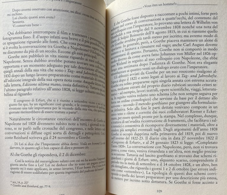 IL POETA E L'IMPERATORE. LA VOLTA CHE GOETHE INCONTRÒ NAPOLEONE