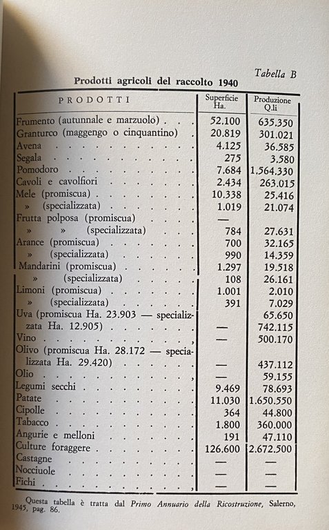 SALERNO CAPITALE D'ITALIA