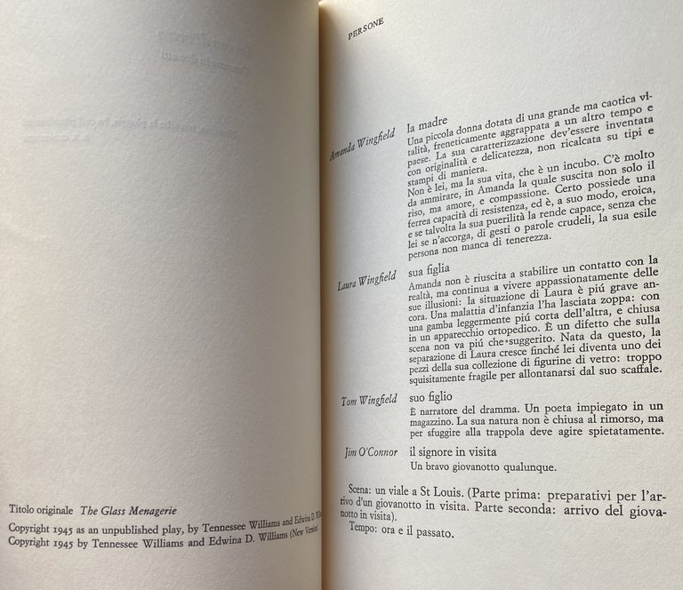 TEATRO. LA CAMERA BUIA, RITRATTO DI MADONNA, LA LUNGA PERMANENZA …