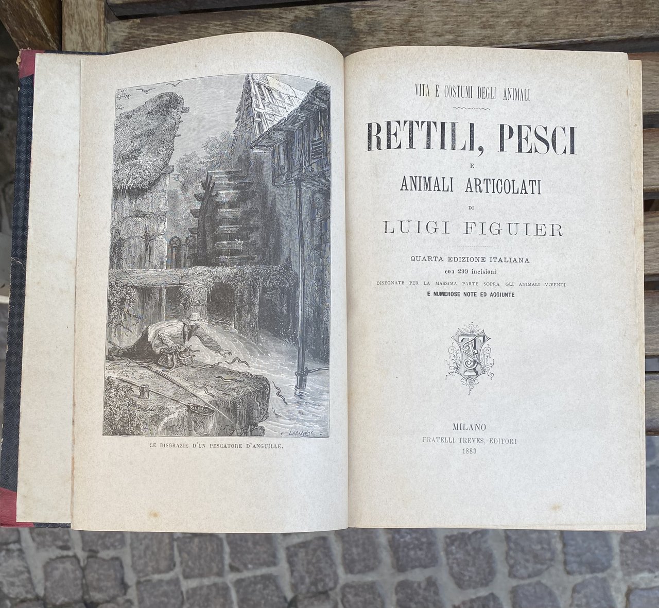 Rettili, pesci e animali articolati - Vita e costumi degli …