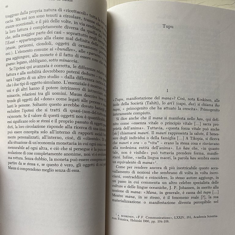 VOCI DA BABELE. SAGGI DI CRITICA DELL'ANTROPOLOGIA