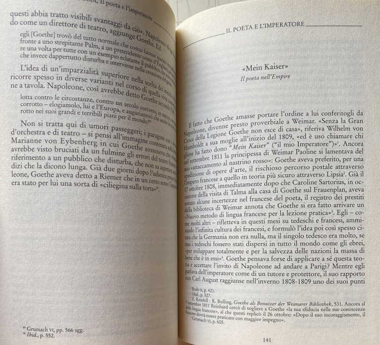 IL POETA E L'IMPERATORE. LA VOLTA CHE GOETHE INCONTRÒ NAPOLEONE