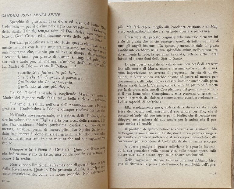 OGNI GIORNO CON MARIA VOLUMI I, II: DALL'AVVENTO ALLA PURIFICAZIONE, …