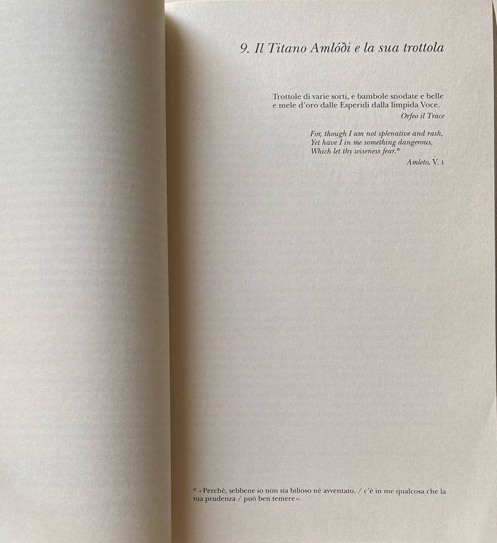 IL MULINO DI AMLETO. SAGGIO SUL MITO E SULLA STRUTTURA …