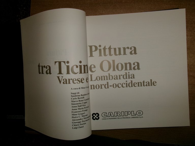 Pittura tra Ticino e Olona Varese e la Lombardia nord-occidentale. …