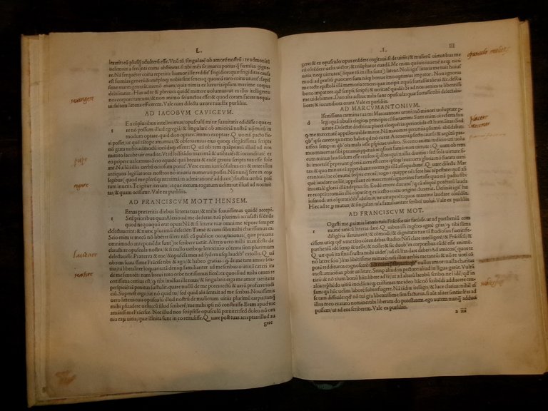 Porcia, Jacopo, conte di (1462-1578). Opus Iacobi Comitis Purliliarum epistolarum …