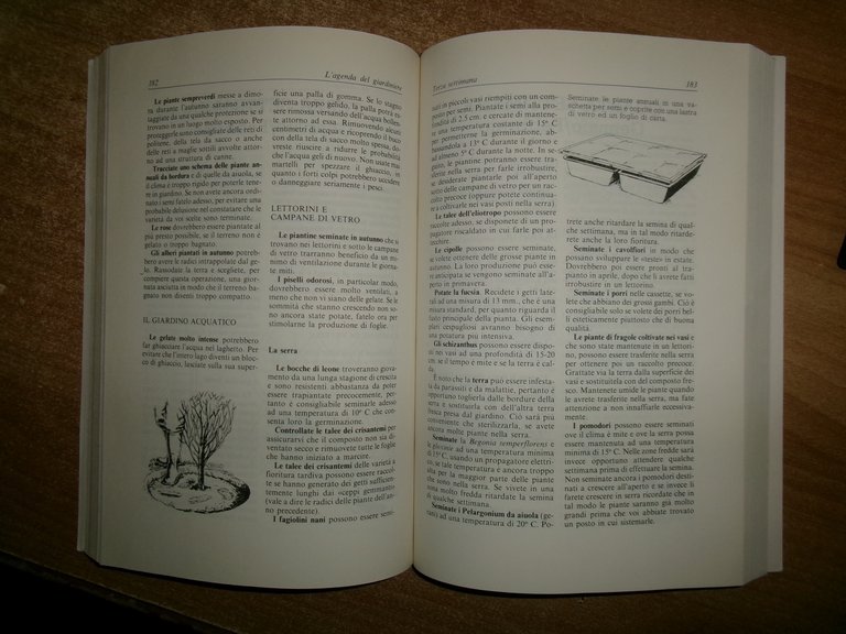 MANUALE DI GIARDINAGGIO. PETER McHoy 1989