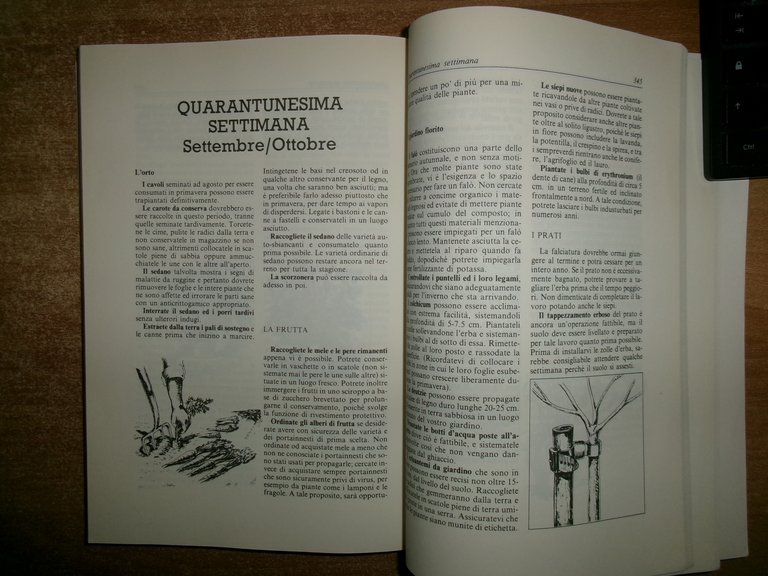 MANUALE DI GIARDINAGGIO. PETER McHoy 1989