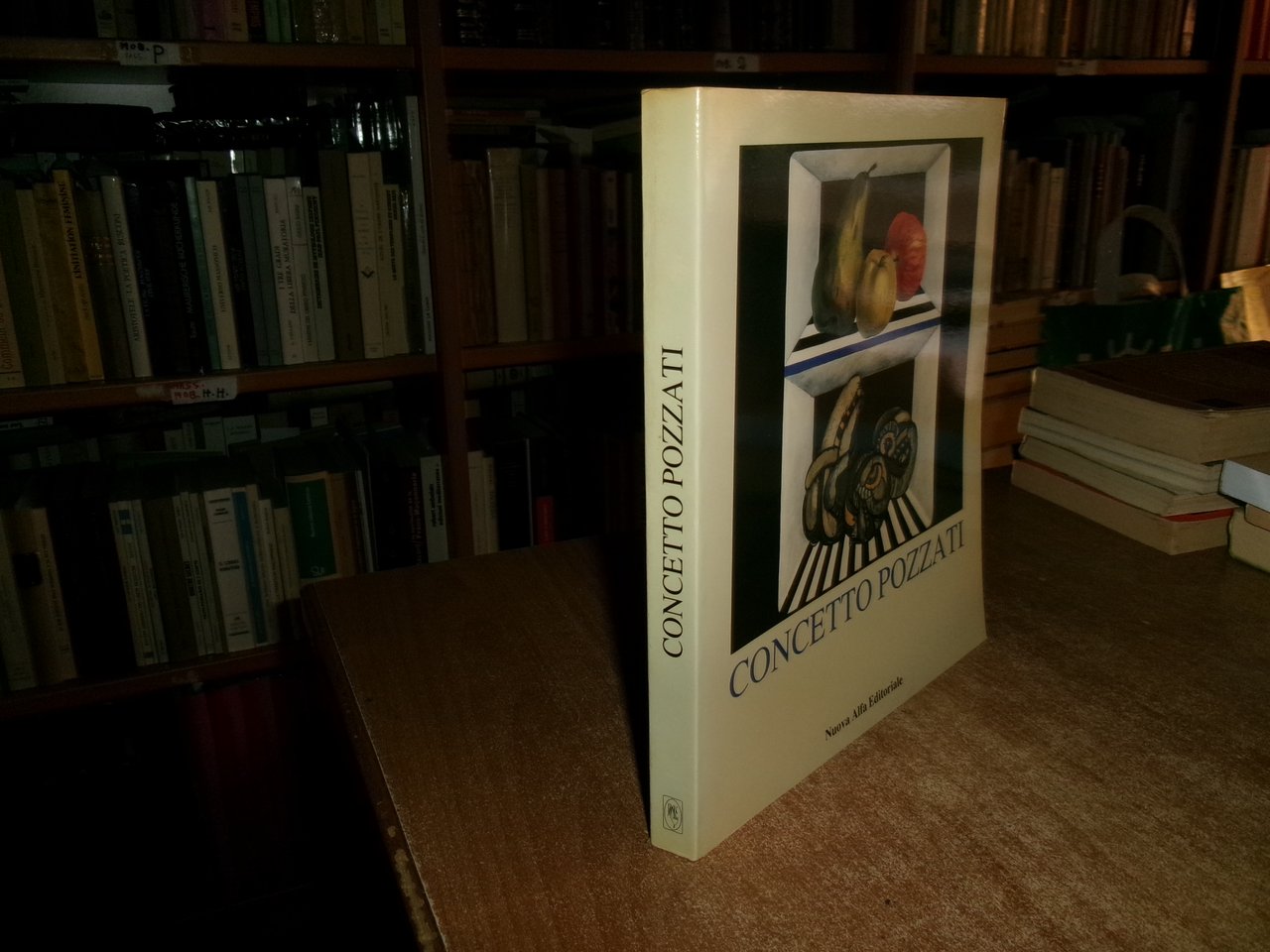 CONCETTO POZZATI antologica. Pier Giovanni Castagnoli, Silvia Evangelisti...1991