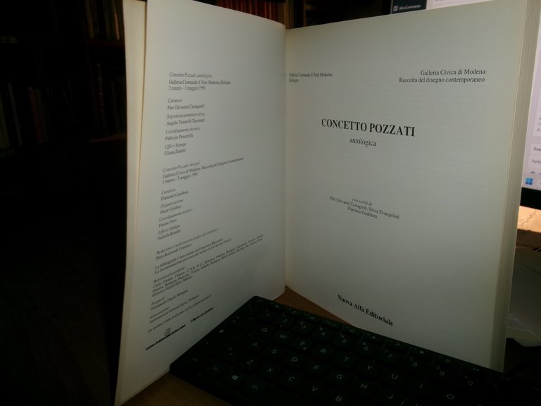 CONCETTO POZZATI antologica. Pier Giovanni Castagnoli, Silvia Evangelisti...1991