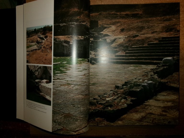 L' Arte della Sardegna Romana. SIMONETTA ANGIOLILLO 1987