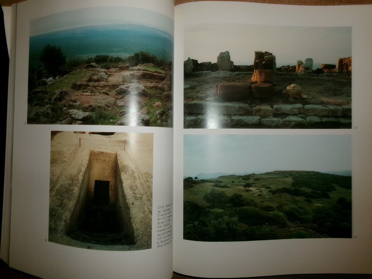 CARTAGINESI. SABATINO MOSCATI 1995