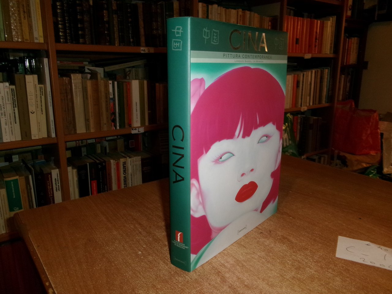 CINA Pittura contemporanea. LORENZO SASSOLI DE BIANCHI 2005