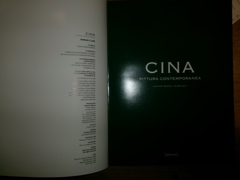 CINA Pittura contemporanea. LORENZO SASSOLI DE BIANCHI 2005