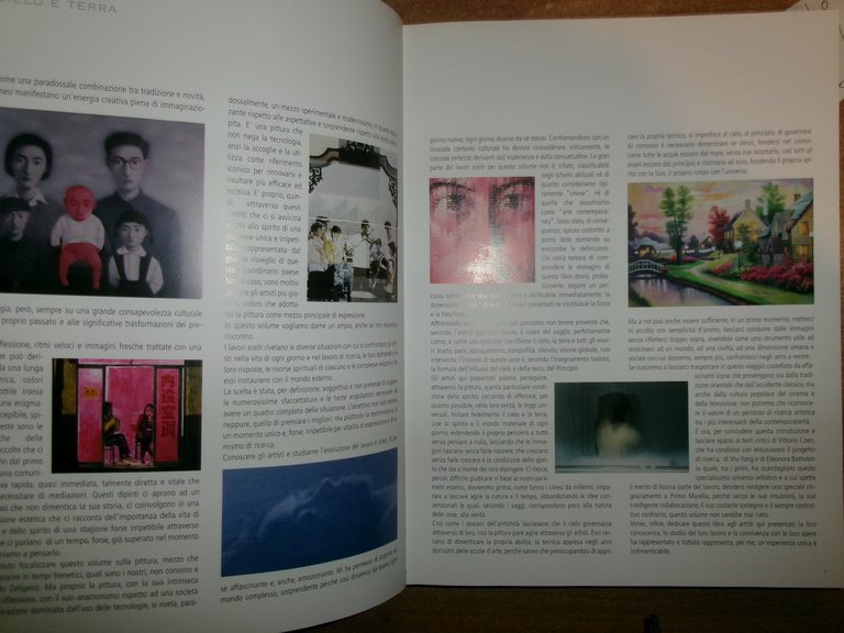 CINA Pittura contemporanea. LORENZO SASSOLI DE BIANCHI 2005
