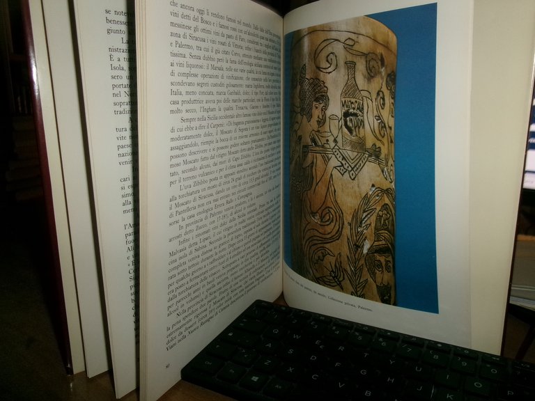 Il Vino in Sicilia. ANTONINO BUTTITTA 1977