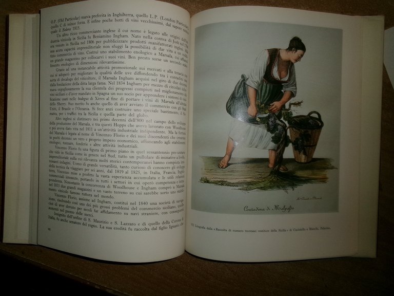 Il Vino in Sicilia. ANTONINO BUTTITTA 1977