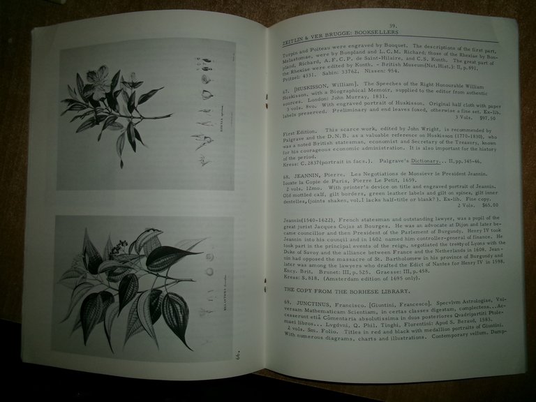 7 Cataloghi n° 246/219/1/214/209/224/210 di ZEITLIN & VER BRUGGE anni …