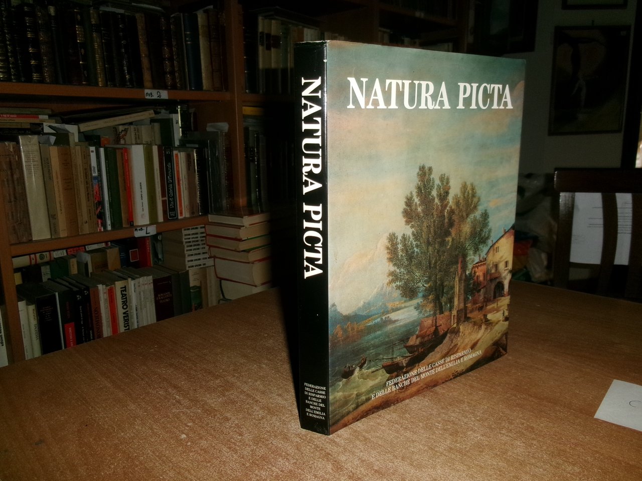 AA.VV. NATURA PICTA. Paesaggio e immagini dell' Emilia Romagna...GIUSEPPE ADANI