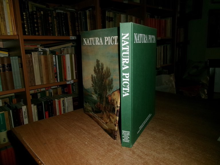 AA.VV. NATURA PICTA. Paesaggio e immagini dell' Emilia Romagna...GIUSEPPE ADANI