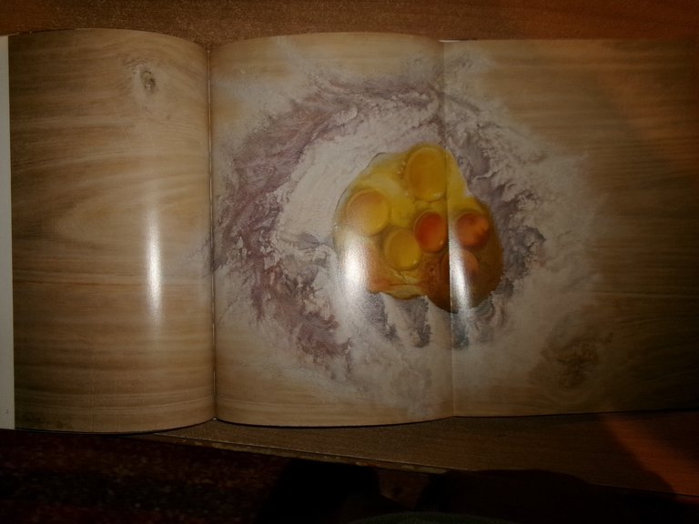 WOLFANGO a cura di Graziano Campanini, Eugenio Riccòmini 2008