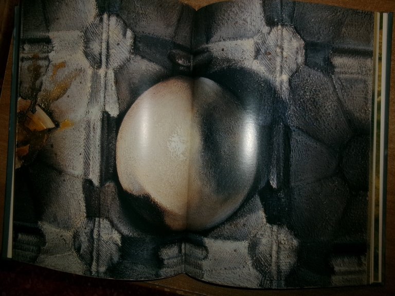 WOLFANGO a cura di Graziano Campanini, Eugenio Riccòmini 2008