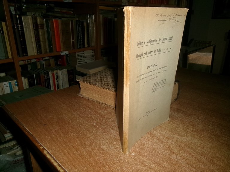 Origine e svolgimento sui primi studi biologici sul mare in …