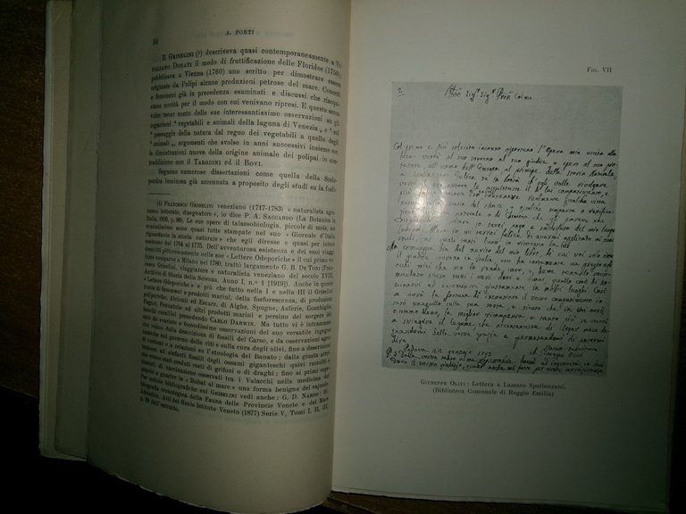 Origine e svolgimento sui primi studi biologici sul mare in …