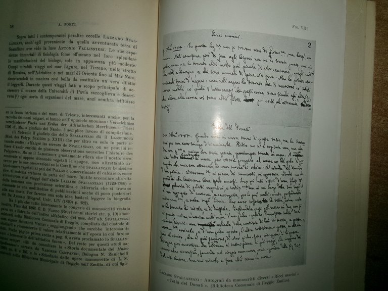 Origine e svolgimento sui primi studi biologici sul mare in …