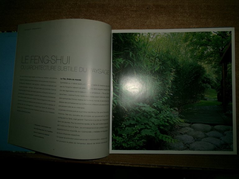 JARDINS Feng-SHUI. GERARD CHAUVIN et PATRICH GLEMANS 2001