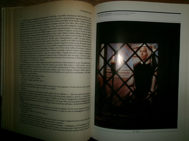 I Promessi Sposi. Alessandro Manzoni 1989