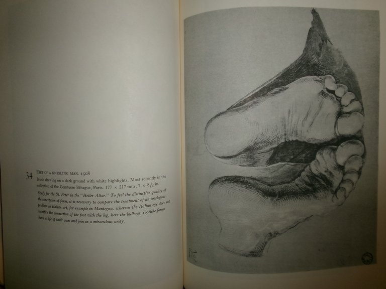 Drawings of ALBRECHT DURER. Introduction by Heinrich Wolfflin 1970