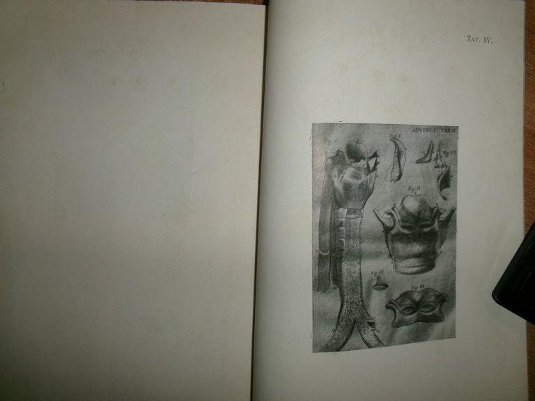 L' Opera Anatomica di BARTOLOMEO EUSTACHI. Guglielmo Bilancioni 1910