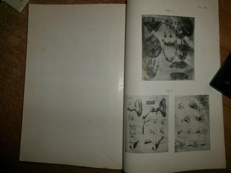L' Opera Anatomica di BARTOLOMEO EUSTACHI. Guglielmo Bilancioni 1910