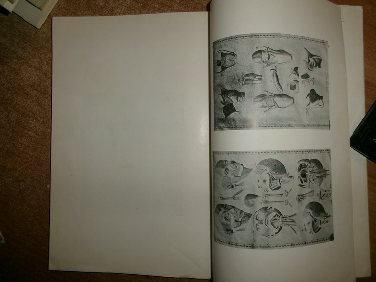 L' Opera Anatomica di BARTOLOMEO EUSTACHI. Guglielmo Bilancioni 1910