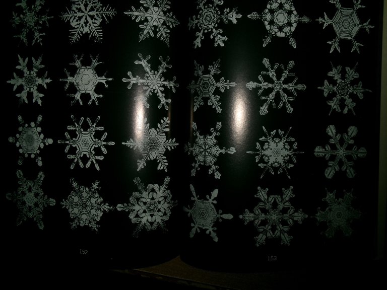 SNOW CRYSTALSW.A. Bentley and J. Humphreys 1962