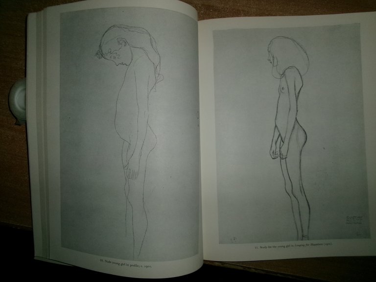 GUSTAV KLIMT 100 Drawings by ALFRED WERNER 1972