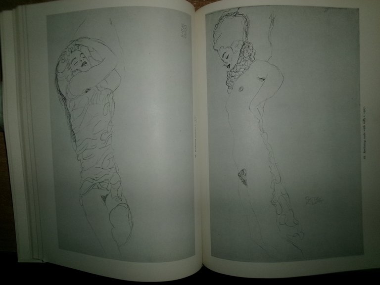 GUSTAV KLIMT 100 Drawings by ALFRED WERNER 1972