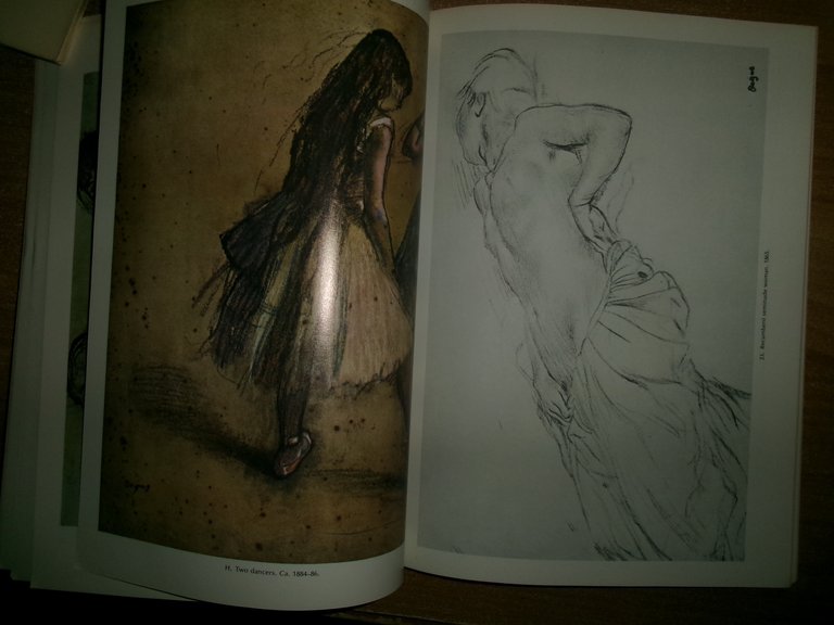 DEGAS' DRAWINGS 100 Illustrations, including 8 in color. 1973