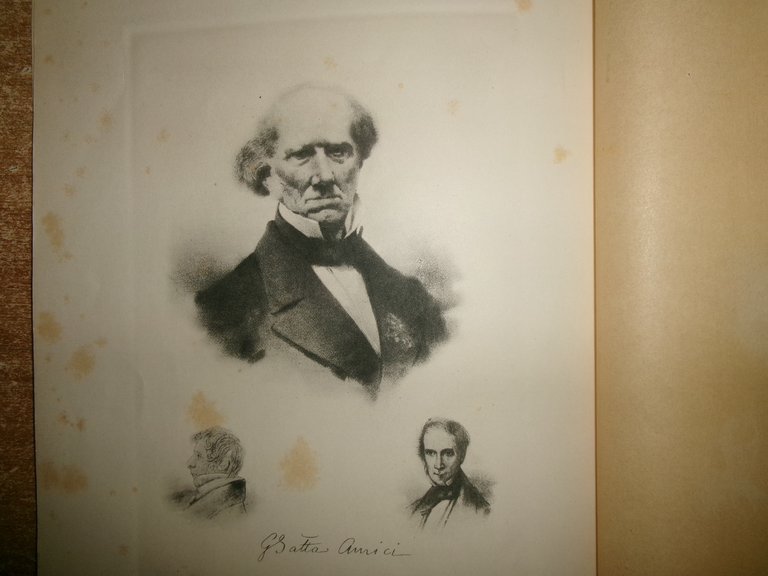 Atti Dell'istituto Botanico Dell' Università Di Pavia... da GIOVANNI BRIOSI …