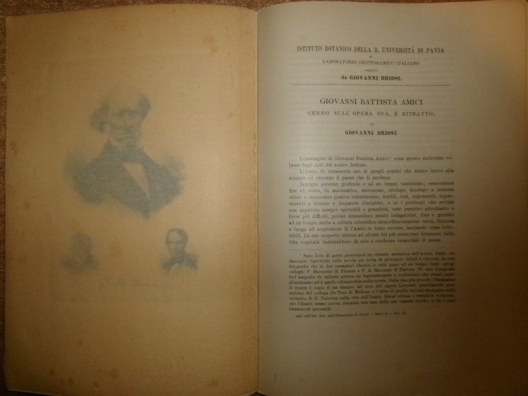 Atti Dell'istituto Botanico Dell' Università Di Pavia... da GIOVANNI BRIOSI …