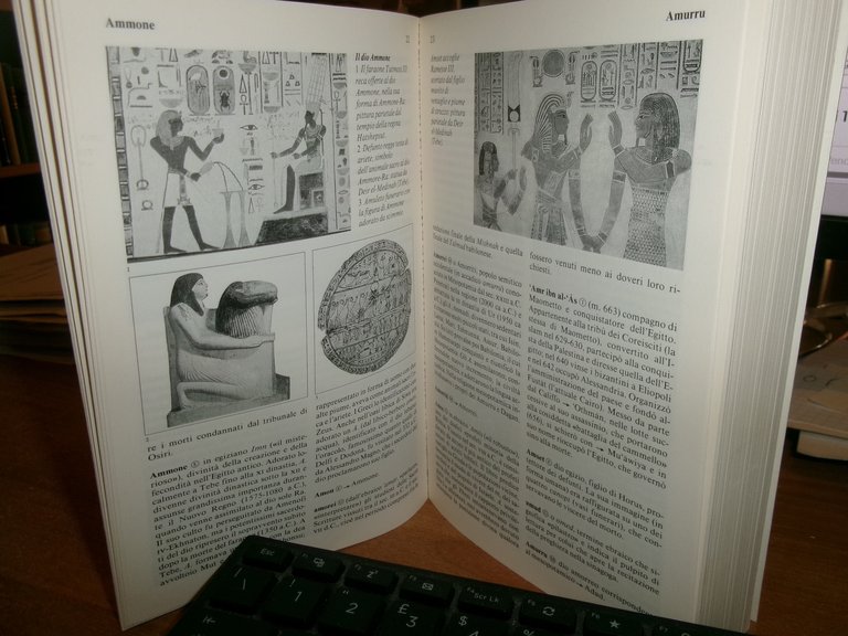 Dizionario delle RELIGIONI del MEDIO ORIENTE. VALLARDI, 1994