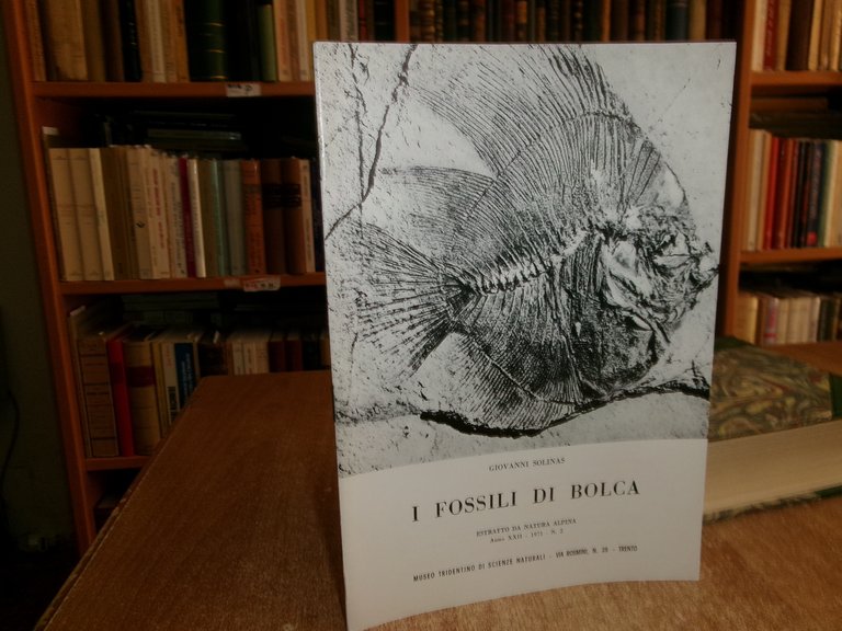 I Fossili di Bolca (Estratto da Natura Alpina...). GIOVANNI SOLINAS …