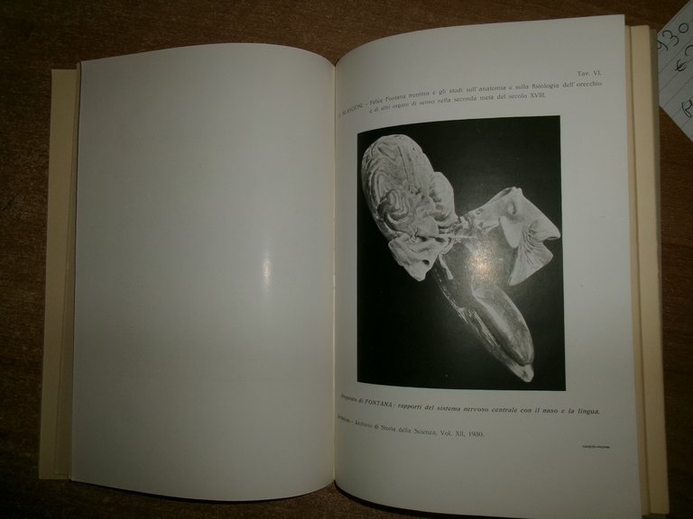 FELICE FONTANA TRENTINO e gli studi sull' Anatomia e...GUGLIELMO BILANCIONI …