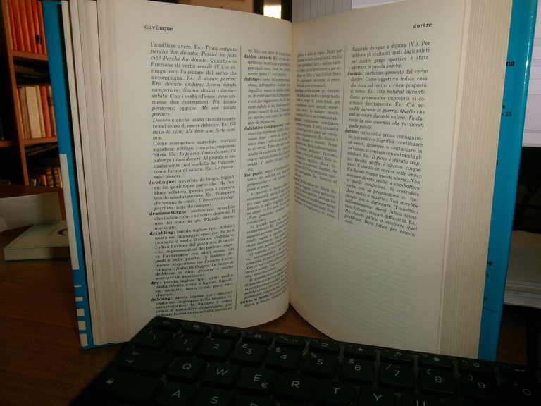 Dizionario Grammaticale per il buon uso della lingua italiana. V. …