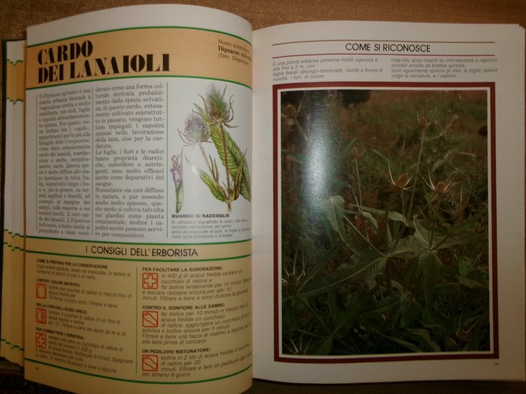AA. VV. Il Grande Libro delle ERBE. Peruzzo 1988