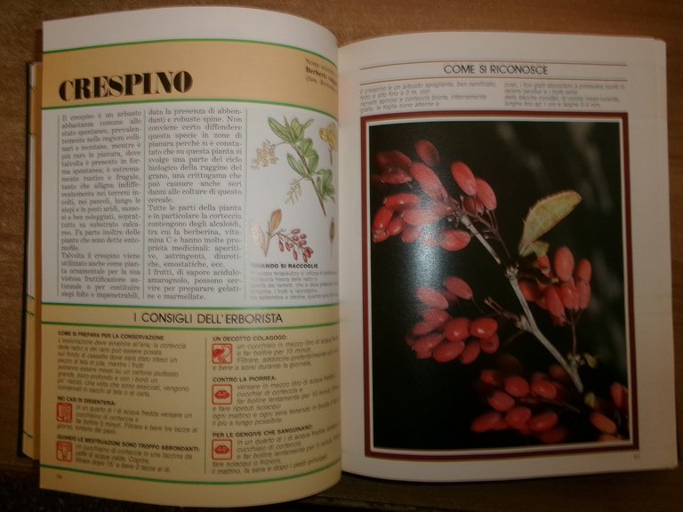 AA. VV. Il Grande Libro delle ERBE. Peruzzo 1988