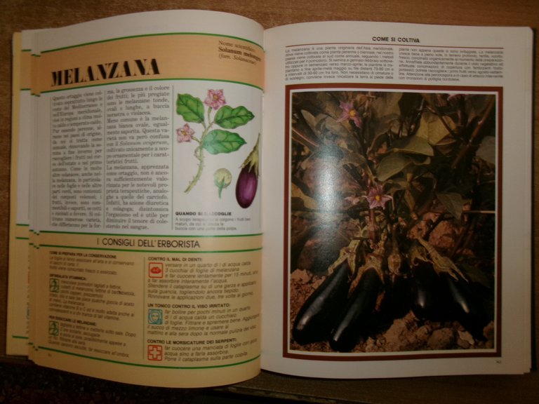 AA. VV. Il Grande Libro delle ERBE. Peruzzo 1988